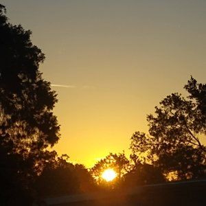 Meet your Posher, Carmen